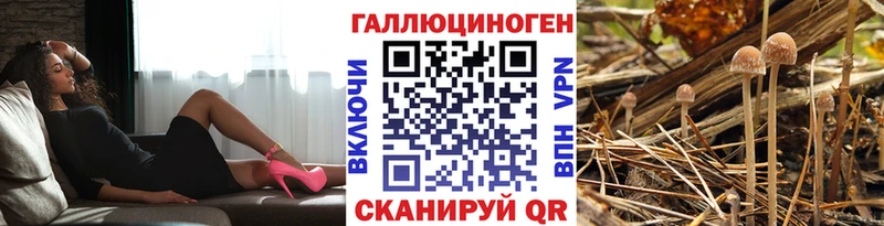 Псилоцибиновые грибы MAGIC MUSHROOMS  kraken вход  Углич 