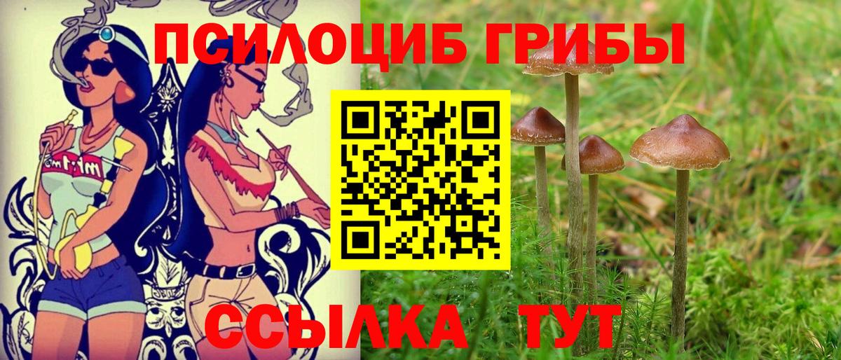 Галлюциногенные грибы Cubensis  где продают   Вход с VPN  Углич  Галлюциногенные грибы прущие грибы 