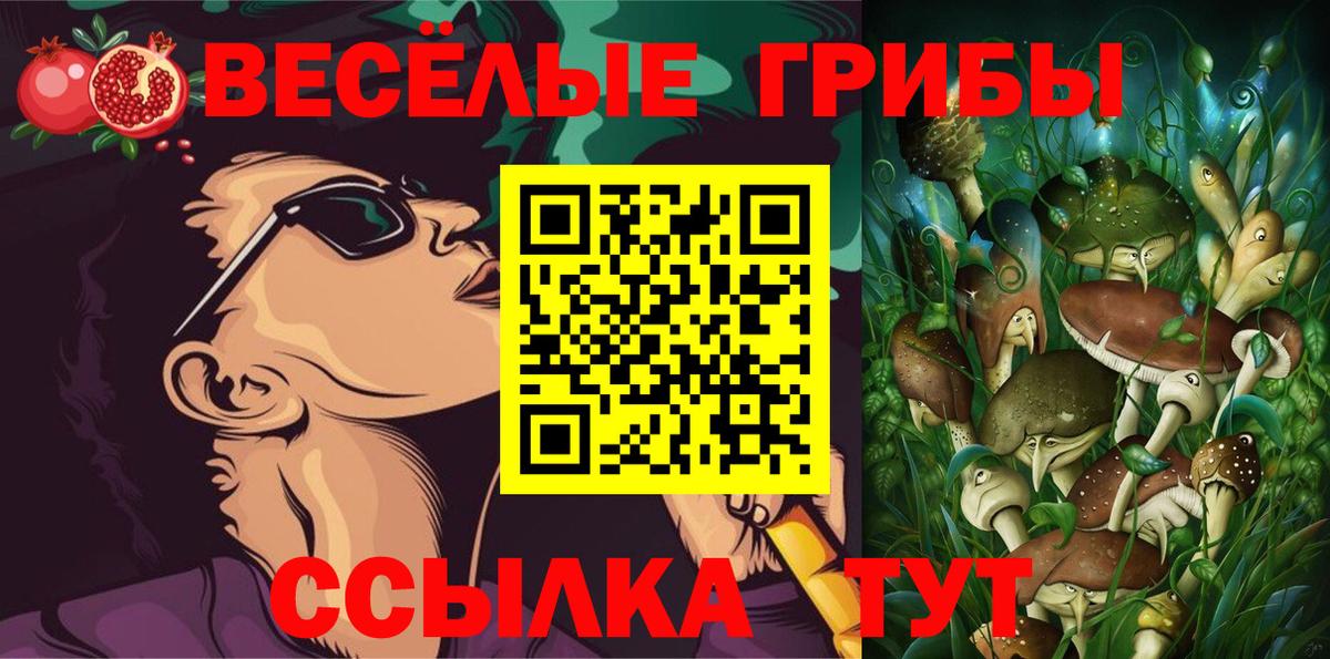 Псилоцибиновые грибы мицелий Углич